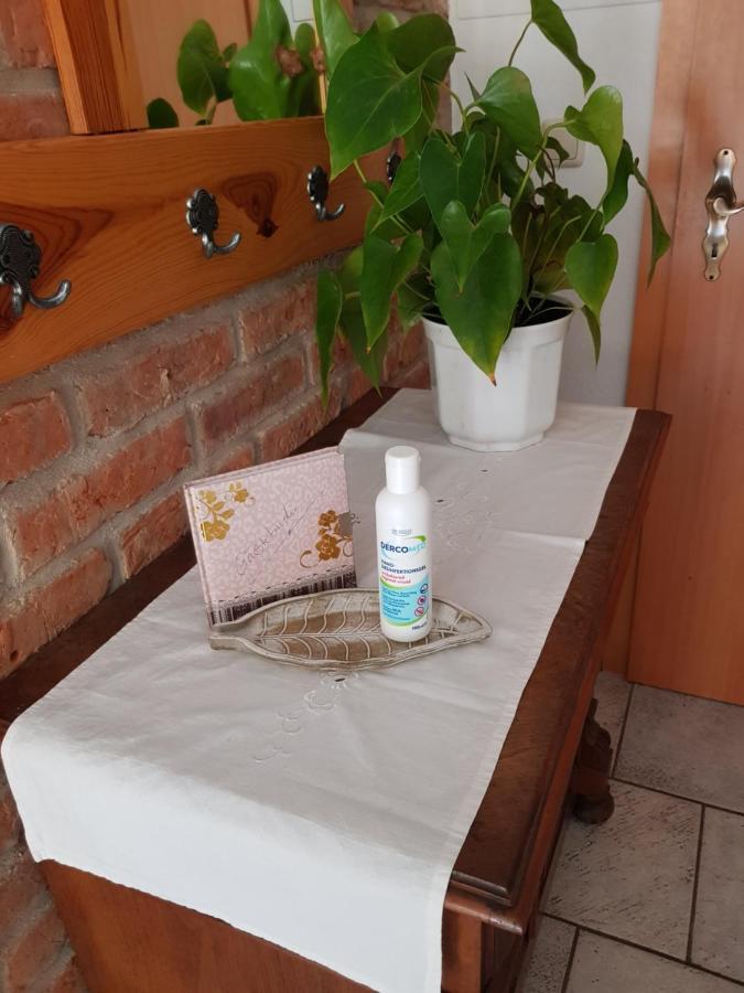 Ferienwohnung Burgenblick Thale Εξωτερικό φωτογραφία